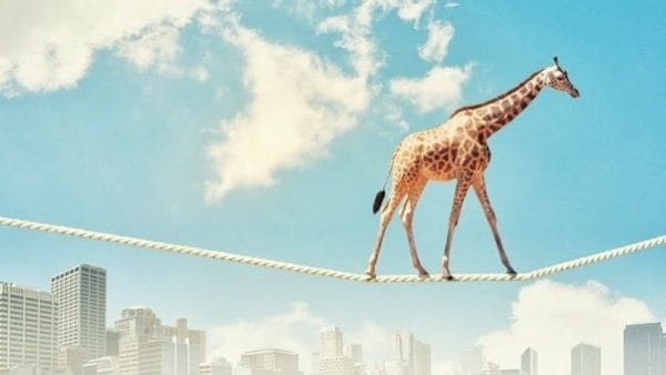 3 روش جالب برای یادگیری انگلیسی