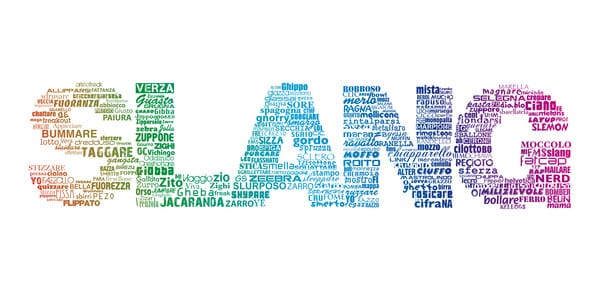 استفاده از زبان انگلیسی عامیانه در مکالمه