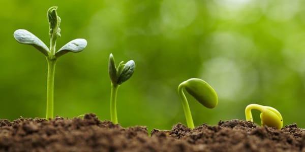 چگونه زبان انگلیسی در طول دهه‌ها تغییر کرده است