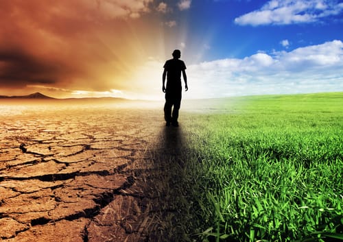 چگونه یادگیری زبان می‌تواند زندگی‌ها را تغییر دهد