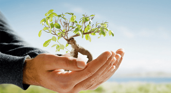 چگونه یادگیری چند زبان زندگیتان را تغییر می دهد