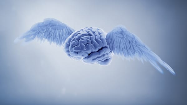 در مغز کسانی که زبان یاد می گیرند چه تفاوتی وجود دارد